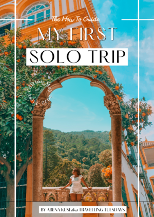 My First Solo Trip Ebook